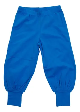 DUNS / MTAF Baggy Pants - Blue Aster